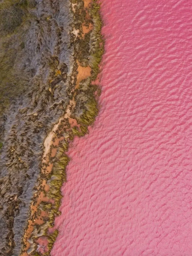 Pink Lakes Jacket