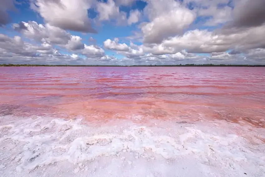 Pink Lakes Jacket